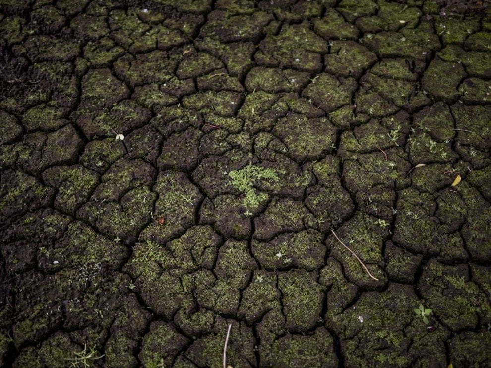 Greenpeace revela impacto del cambio climático en el paisaje español 11 f.elconfidencial.com original f6a 682 f78 f6a682f78f19b6ab68e39f1775c71940