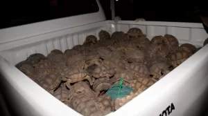 32a185f2e9050a9033ad10f3fcce5815