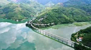 FOREIGN202108251427000056638218408