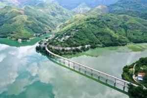 FOREIGN202108251427000056638218408