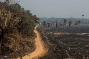 WhatsApp Image 2023 09 12 at 11.41.41