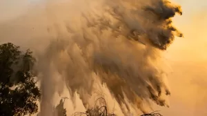 WhatsApp Image 2023 09 12 at 12.36.45