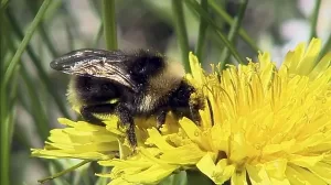 WhatsApp Image 2023 09 14 at 17.32.21