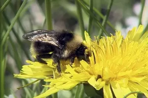 WhatsApp Image 2023 09 14 at 17.32.21