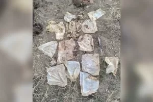 WhatsApp Image 2023 09 18 at 11.33.15