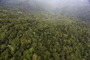 WhatsApp Image 2023 09 19 at 11.40.54