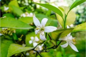 WhatsApp Image 2023 09 19 at 12.30.49