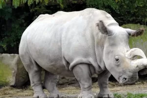 WhatsApp Image 2023 09 21 at 12.33.47