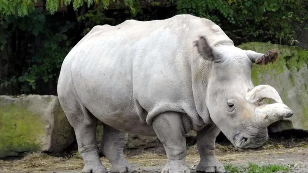 WhatsApp Image 2023 09 21 at 12.33.47