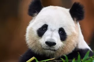 WhatsApp Image 2023 09 22 at 11.18.20