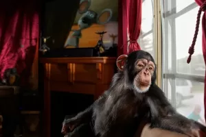 WhatsApp Image 2023 09 22 at 11.33.39