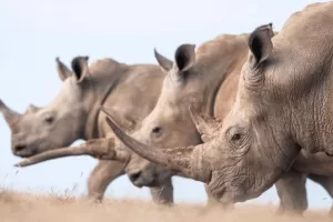 WhatsApp Image 2023 09 22 at 12.44.14