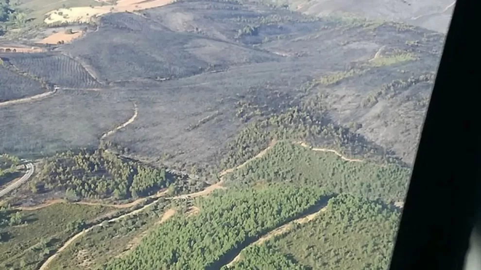 WhatsApp Image 2023 09 26 at 11.21.32