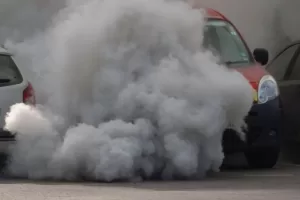 WhatsApp Image 2023 09 26 at 12.36.21