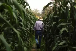 WhatsApp Image 2023 09 27 at 15.59.13