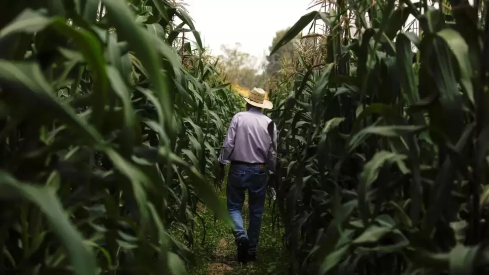 Impacto del cambio climático en México: agricultura y turismo vulnerables según CAF 10 WhatsApp Image 2023 09 27 at 15.59.13