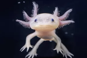 WhatsApp Image 2023 09 28 at 12.31.00