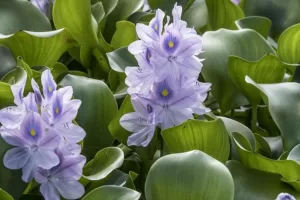 cec72500 4d89 11ee bbc8 ddae6adb812d