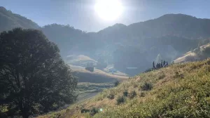 defensores medio ambiente indigenas asesinados mexico 3 600x400 1