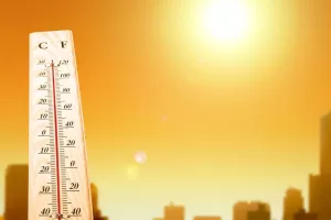 f.elconfidencial.com original b02 9c2 16a b029c216a58845e7bfae05629b64d169