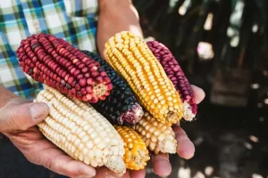 f850x638 3869 81358 5050