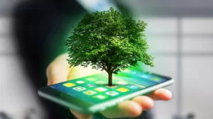 your smartphone is more harmful to the environment than you think