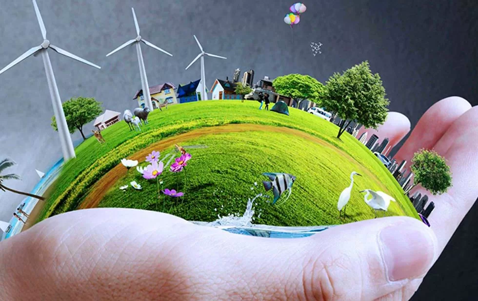 20231023124041314 0 2112501 jpg