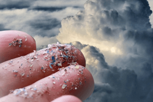 Captura de pantalla 2023 09 28 161528