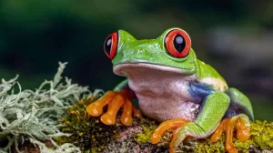 Imagen de WhatsApp 2023 10 06 a las 12.33.36 6d34d14c