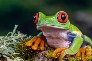 Imagen de WhatsApp 2023 10 06 a las 12.33.36 6d34d14c