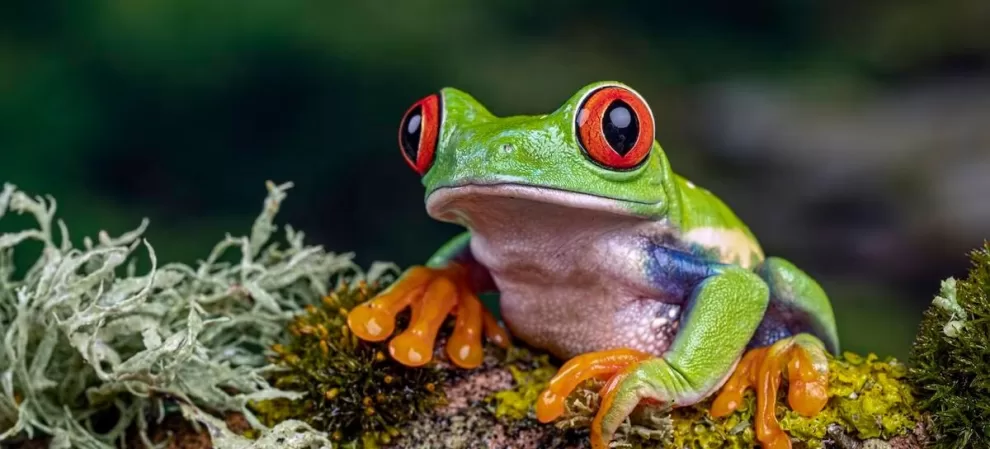 Imagen de WhatsApp 2023 10 06 a las 12.33.36 6d34d14c