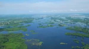 Imagen de WhatsApp 2023 10 06 a las 17.11.06 87802a94