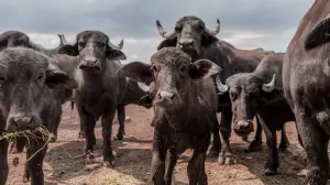 Imagen de WhatsApp 2023 10 09 a las 12.07.26 e72b53be