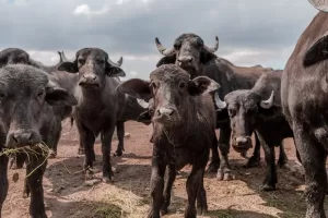 Imagen de WhatsApp 2023 10 09 a las 12.07.26 e72b53be