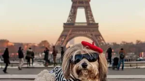 Imagen de WhatsApp 2023 10 09 a las 15.41.43 83364f04