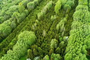 Imagen de WhatsApp 2023 10 10 a las 11.16.07 9e8af1a9