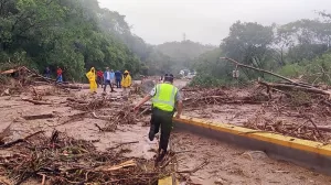 Imagen de WhatsApp 2023 10 26 a las 16.48.15 ab8fe375