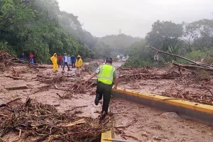 Imagen de WhatsApp 2023 10 26 a las 16.48.15 ab8fe375