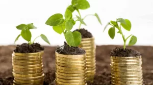 Impuesto verde que es cuanto recaudo y como se aplica en las industrias e1682707074803