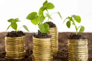 Impuesto verde que es cuanto recaudo y como se aplica en las industrias e1682707074803