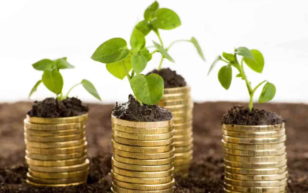 Impuesto verde que es cuanto recaudo y como se aplica en las industrias e1682707074803