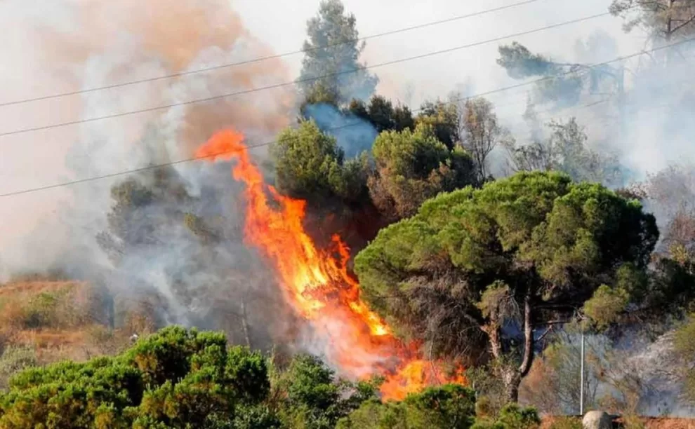consecuencias de los incendios forestales 234 orig