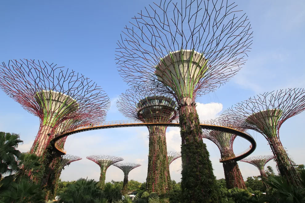 De "paraíso de la contaminación" a metrópolis sostenible: El milagro de Singapur en 60 años 10 garden gardenbythebay supertree singapore 0