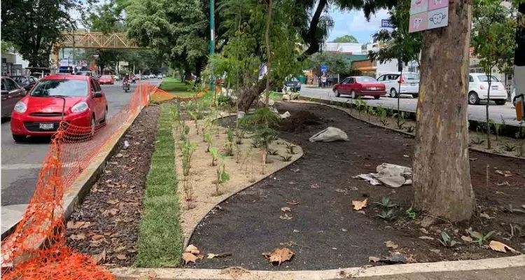 ONU respalda esfuerzos de Xalapa en la lucha contra el cambio climático a pesar de insuficientes resultados 10 jardines 1 750x400 2 jpg