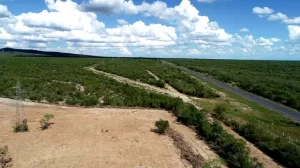 medio ambiente de nuevo leon suspende desmonte irregular en sierra picachos 768x432 1