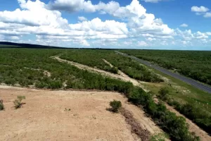 medio ambiente de nuevo leon suspende desmonte irregular en sierra picachos 768x432 1