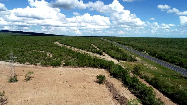 medio ambiente de nuevo leon suspende desmonte irregular en sierra picachos 768x432 1 jpg