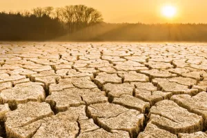 sequia sol 5773979 20231013192421