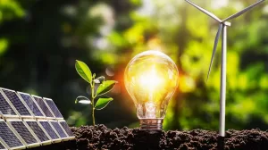 top energy una alternativa en energias verdes