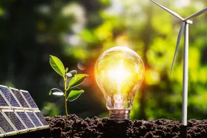 top energy una alternativa en energias verdes